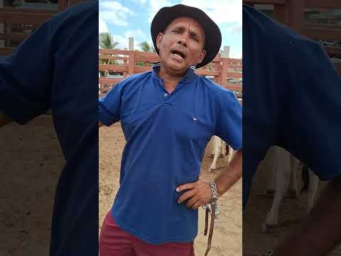 FEIRA DO GADO DE LAGOA DE PEDRAS-RN