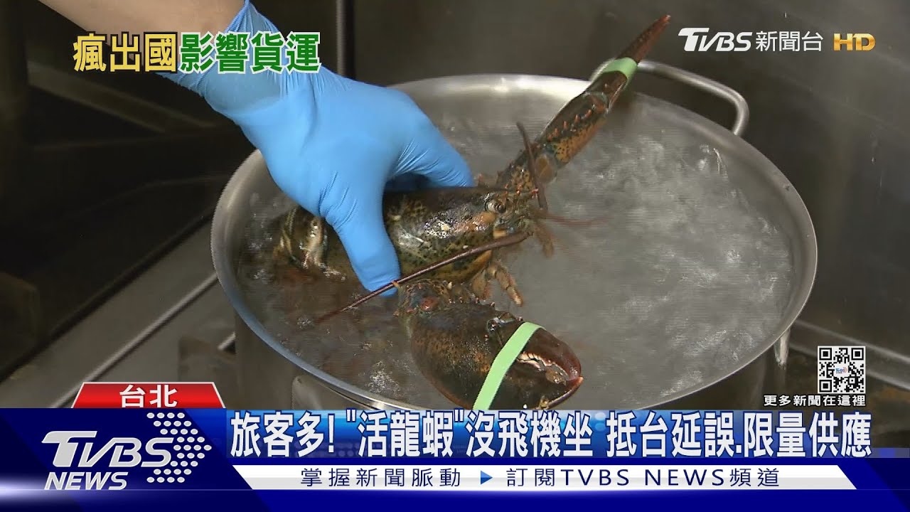 旅客多!「活龍蝦」沒飛機坐 抵台延誤、限量供應