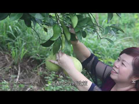 農村大翻身 「竹」起瑪東新印象在地經濟