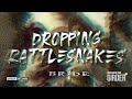 BRIDE - SNAKES IN THE PLAYGROUND (2021 GIRDER RECORDS) LYRIC VIDEO - CHRISTIAN METAL
