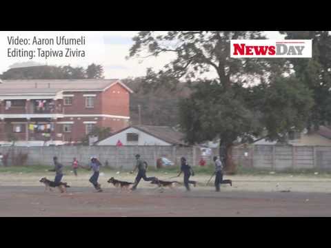 Zimbabwe police flee angry Dynamos supporters.