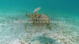 Caribbean Diaries: 24 Hours at Sandals Royal Barbados