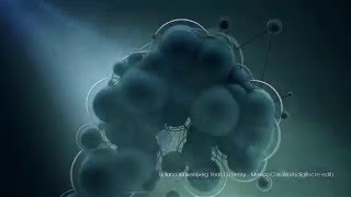 Roland Klinkenberg Feat. DJ Remy - Mexico Can Wait (digitec re-edit)