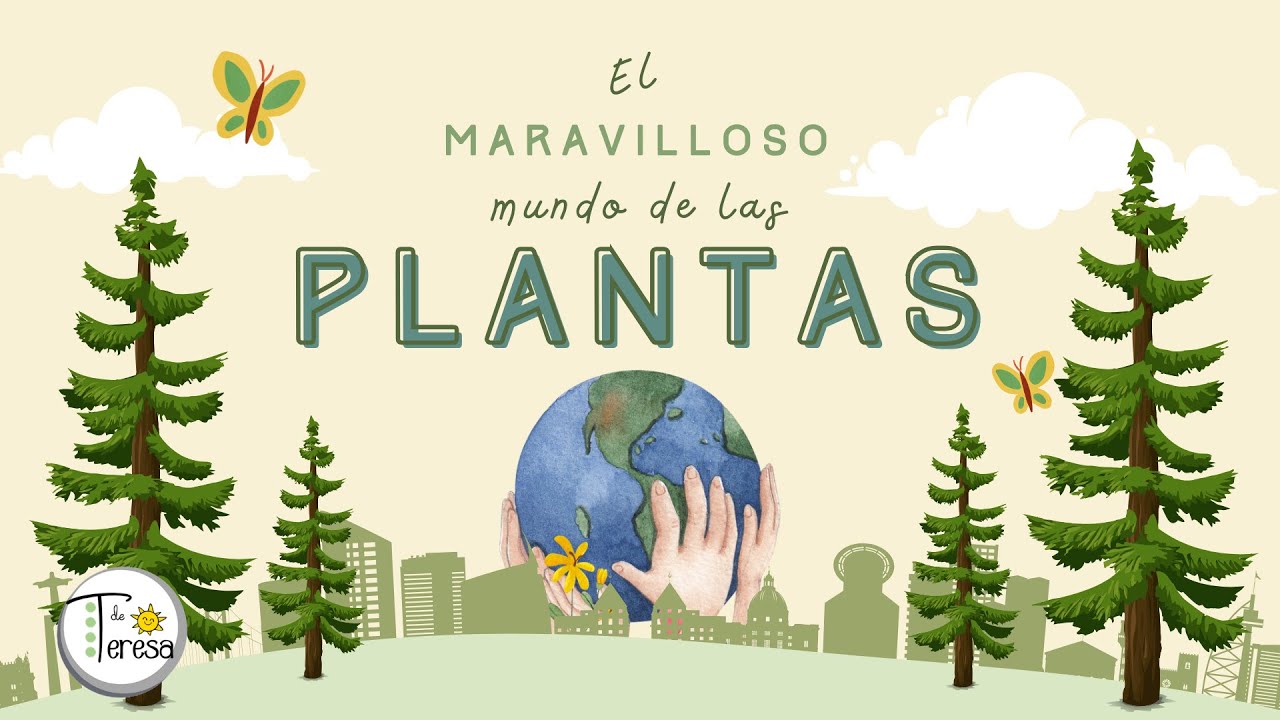 Las plantas -2º primaria-