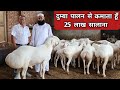 दुम्बा पालन से कमाता हूँ लाखो Dumba Goat Farm Turkey