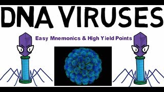 DNA Viruses - Easy Mnemonics & High Yield Points