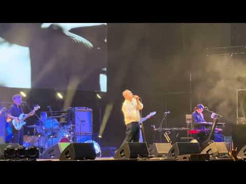 Morrissey - Irish Blood, English Heart