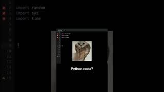 Matrix Rain in 10 Lines of Python Code