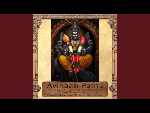 Avinaasi Pathu