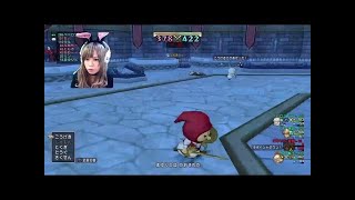 初見さん歓迎！カジノとかコロとかなんかやる！！どらくえ１０！