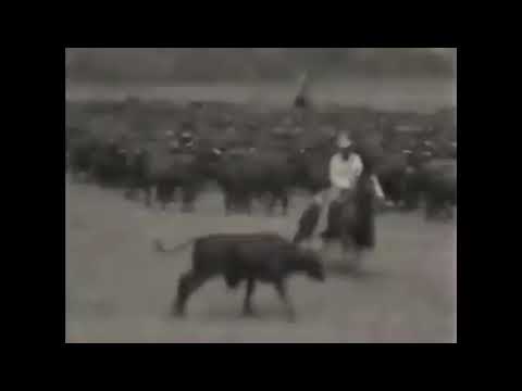 Peppy San Badger e Buster Welch