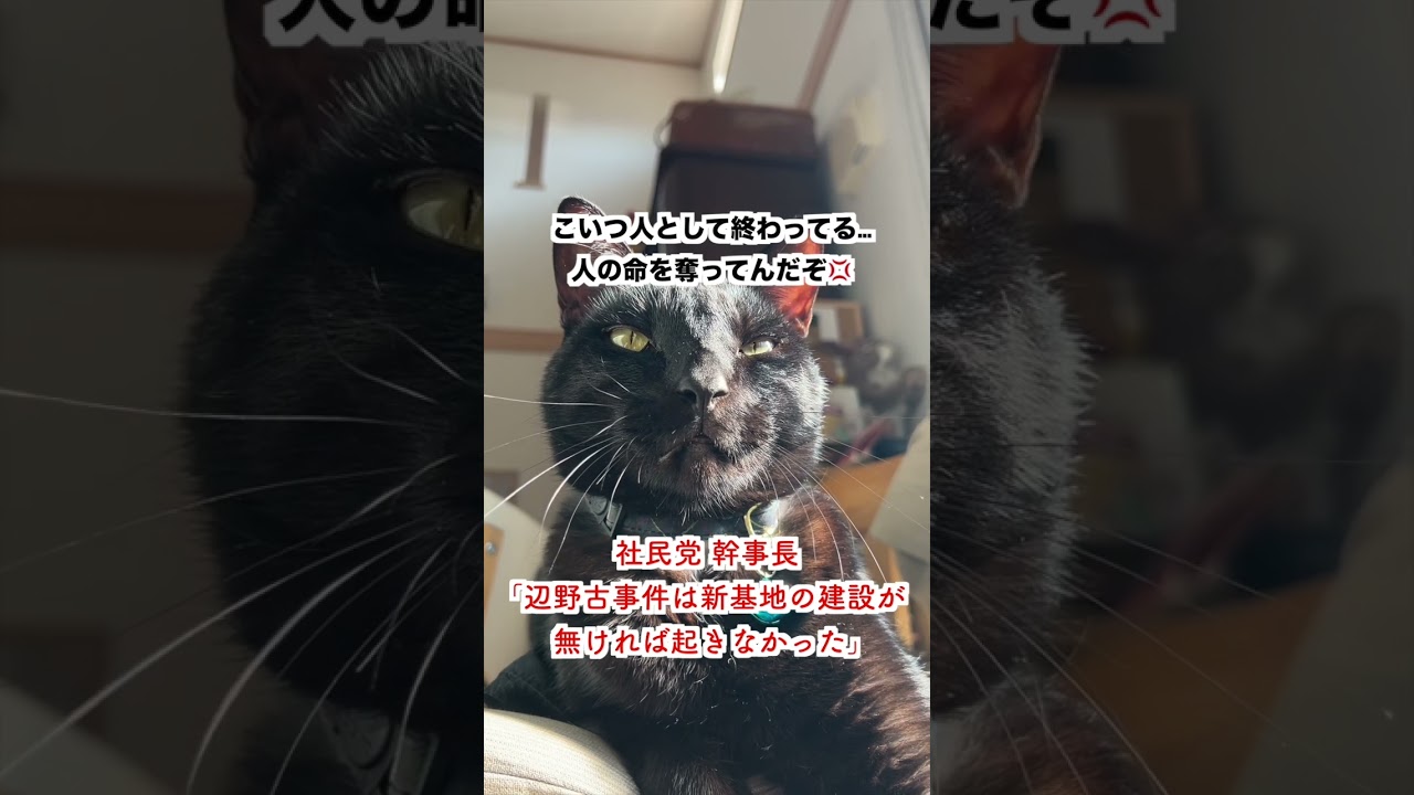 【激怒】社民党 幹事長「辺野古事故は新基地の建設がなければ起きなかった」→「人としてあり得ない発言💢」