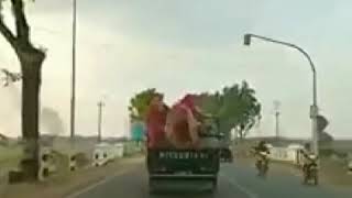 Download lagu Dilihat dosa gak dilihat......πππππ€ π mp3 Download lagu Dilihat dosa gak dilihat......πππππ€ π mp3