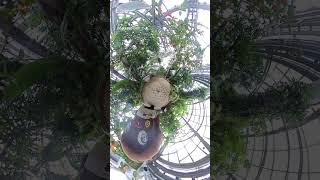 【頑張って 元ネタ / 轟はじめ】ねばーる君  #insta360 #funny #prank #ねばーる君 #funny #ibaraki