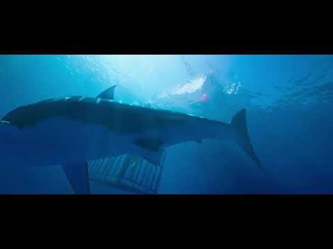 The Cage Falls 47 Meters Down