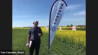 Corteva Agriscience Breeding Program - Corn & Soybeans