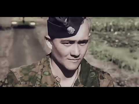 What Really Happened when SS Panzers Struck Kursk