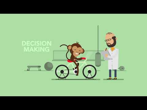 Namatata - Calm Meditation Video