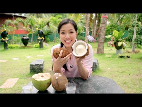 How is Coconut Milk Made? - From Farm to Cans! Mini Documentary