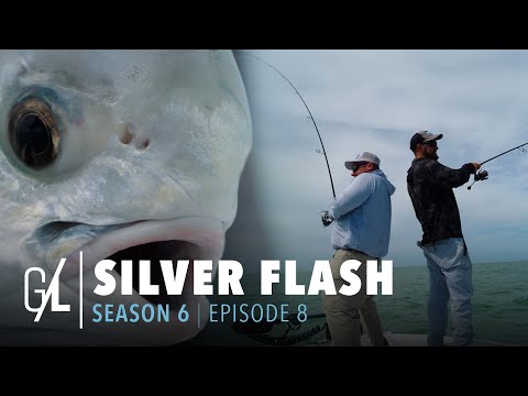 "Silver Flash" - Season 6: Episode 8