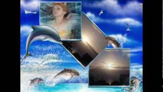 SIEMPRE DE FRENTE.mpg