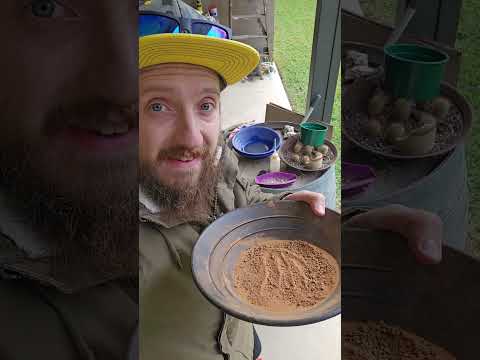 Crushing "Hot Rocks" to See if Yhey Have Gold in Them?