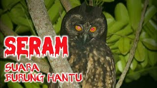 Download lagu Bikin Merinding‼️ SUARA BURUNG HANTU PALING SERAM - anak kecil auto tidur mp3