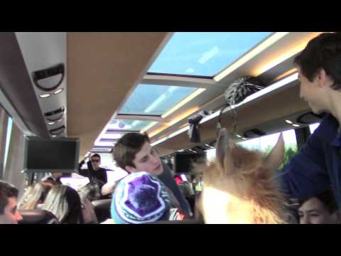 WYR 2013-Official Trailer