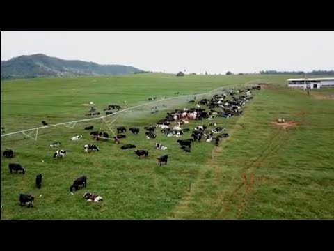 a fazenda dos meus sonhos