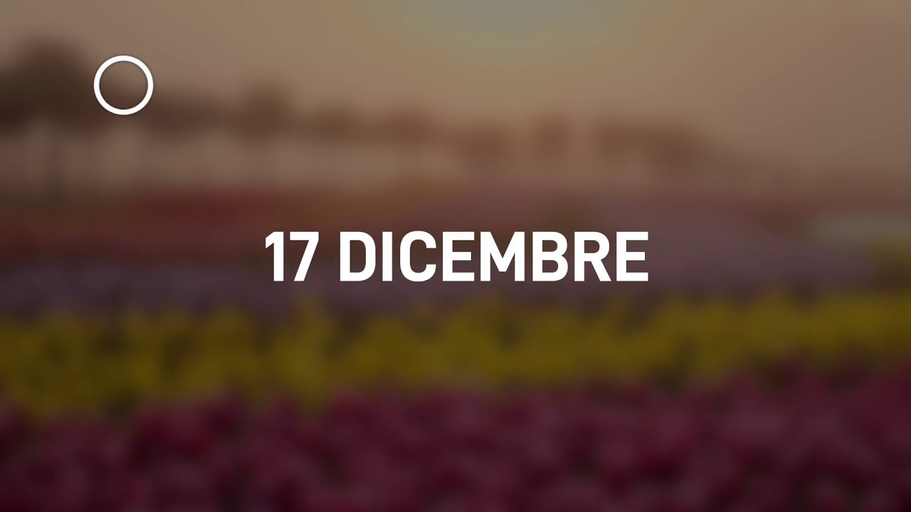 17 Dicembre 2024 | Meditazione Parole di Vita