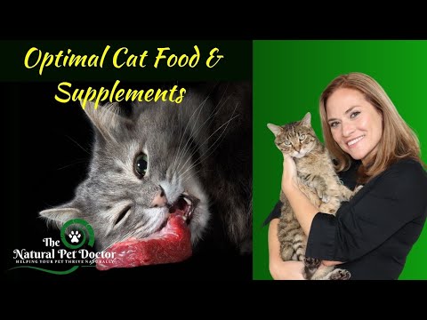 Optimal Cat Food & Supplements (For Upper Respiratory Infections) with Dr. Katie Woodley