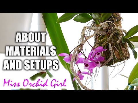 About Orchid media, materials and setups