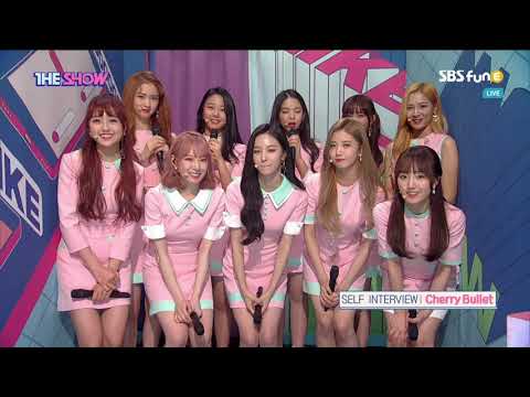 190129 SBS funE The Show Cherry Bullet   Self Interview 1080i H264 AC3