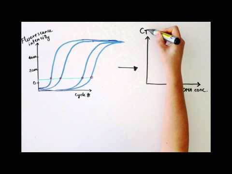 Analyzing Quantitative PCR Data