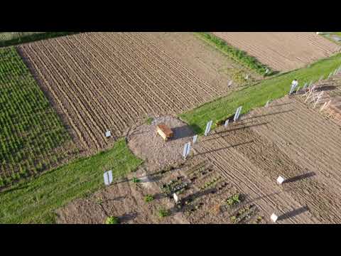 Weltacker Attiswil: Vogelperspektive im Mai 2020