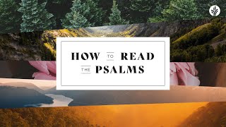 How To Read The Psalms (Week One) on Discover the Word