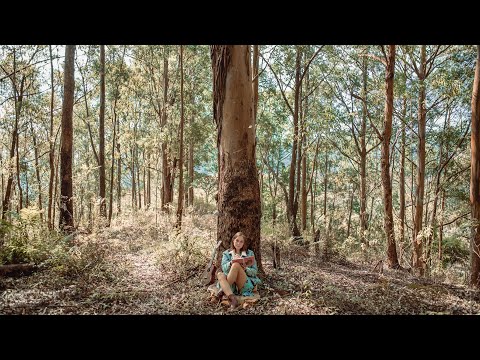 I'm Not Ok - Tatila Krau