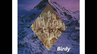 ARMY NAVY - Birdy