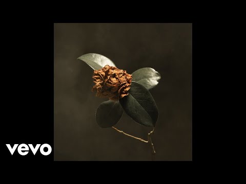 Hurricanes - St. Paul and The Broken Bones