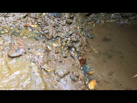 Spring Water Collection System 16 Steps With Pictures Instructables