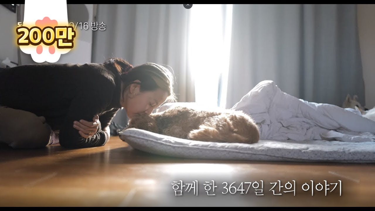 반려견 순심이가 떠난 후, 효리가 옛 제주집으로 돌아온 이유ㅣThe Story Of Farewell Between Lee Hyo-Ri And Her Dog Soonshim