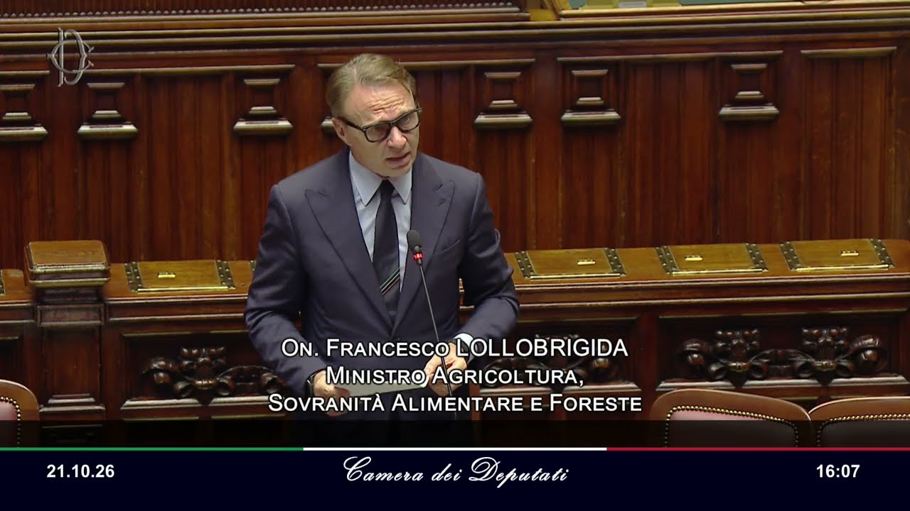 LOLLOBRIGIDA SULLE PROTESTE: «SOLIDARIETÀ, MA DANNI ENORMI ALL'AGRICOLTURA, ORA RIMUOVERE I PRESIDI»