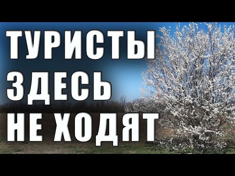 Место в Крыму, где не бывает туристов. Курман и Петровка пгт. Красногвардейское