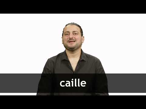 How to pronounce CAILLE in French