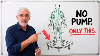 The One Exercise That Activates Every Lymph Vessel After 60