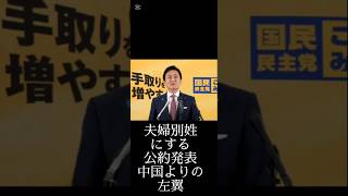 国民民主党　解説　2025年