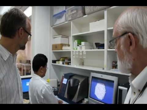 Introduction to IRRI's 2011 Annual Report: Robert Zeigler and Achim Dobermann