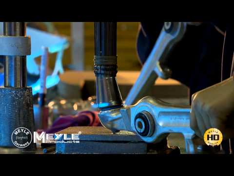 download lagu mp3 mp4 Meyle, download lagu Meyle gratis, unduh video klip Meyle