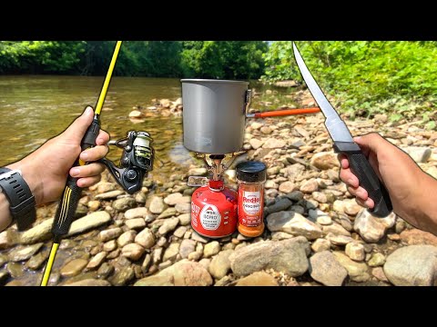 Eating ONLY What I Catch for 24 Hours (Creek Fishing)
