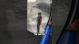 Inflatable Ball Water Walk — Full Transcript & Summary
